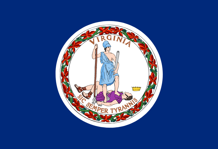 Overview and Live Results: 2025 Virginia Primary